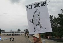 «Нет вобле!». В Хабаровске — протесты