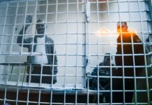 Суд оставил в силе приговор Алексею Москалеву