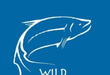 В России признали нежелательной организацию по охране лосося на Дальнем Востоке