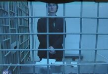 Мосгорсуд признал законным арест фигуранта дела «Весны» Валентина Хорошенина до 5 августа