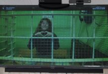 Мосгорсуд также оставил фигурантов дела «Весны» Анну Архипову и Павла Синельникова в СИЗО до 5 августа