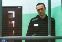 «Обалдеть», — Навальный отреагировал на новость о задержании Стрелкова