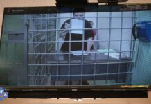 Несломленный и с широким сердцем. Каким запомнился Евгений Затеев в Мосгорсуде — кадры SOTAvision