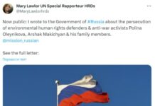 Спецдокладчица ООН Мэри Лоулор выступила в поддержку российского экоактивиста и его семьи