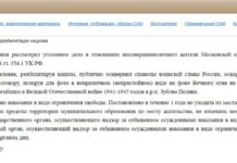 Подростка 17 лет приговорили к году ограничения свободы за осквернение «Вечного огня»