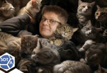 Обвиняемый в распространении «фейков» о российской армии активист ищет дом для спасенных им кошек