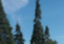 В Новосибирске прошли пикеты в поддержку политических заключенных