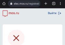 На выборах в Москве начались перебои с работой ДЭГ
