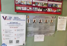 В Воронеже данные о кандидатах приклеили к агитации на участках