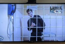 Московского активиста, обвиняемого в насилии над полицейским, освободили из-под стражи и отменили назначенный ему штраф