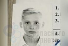 Екатерина Мизулина обратилась к Минобороны с просьбой призвать Даню Милохина в армию