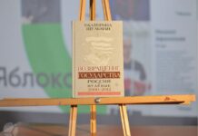 Книга Екатерины Шульман «Возвращение государства. Россия в нулевые. 2000–2012» продана за 228 тысяч рублей