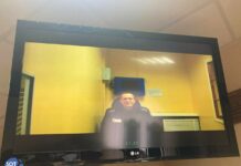 «Вновь могу произнести любимую фразу: я ничего не буду говорить без своего авокадо!» — Алексей Навальный познакомился со своим вторым адвокатом Алексеем Цветковым