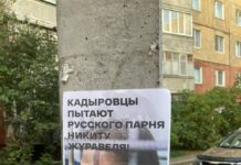 В России провели «агитационный рейд» с протестом против избиения сыном Кадырова активиста