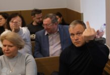 Бизнес-тренеру Елене Блиновской продлили домашний арест до 26 января 2024 года