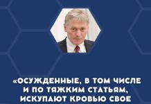 Песков прокомментировал помилование убийцы студентки Веры Пехтелевой