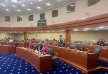 Больше трети депутатов Мосгордумы проголосовали против бюджета от мэрии