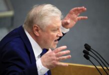 Сергей Миронов назвал информацию об удочерении украинской девочки «фейком»