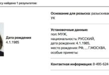 МВД объявило в розыск лидера «Гражданского общества» Михаила Светова