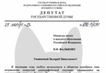 В Госдуме предложили открыть при вузах детские сады, чтобы повысить рождаемость