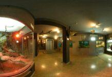 Свыше 500 животных погибло при затоплении Севастопольского морского Аквариума-музея