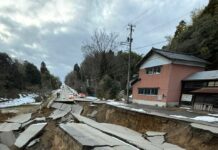 В Японии серия землетрясений вызвала сильное цунами