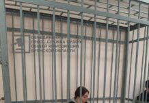 Сжегшей свой российский паспорт блогерше назначили домашний арест