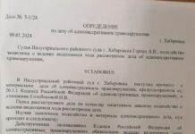Суд запретил вести видеозапись процесса над активисткой Натальей Голобоковой из-за риска «умаления авторитета судебной власти»