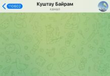 Блокировку башкирских Telegram-каналов объяснили DDOS-атаками и действиями операторов связи