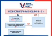 ЦИК обнаружил в подписных листах Бориса Надеждина 15,348% недействительных подписей