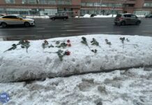 Цветы в память об Алексее Навальном на подходе к «Стене скорби» и «Соловецкому камню» в Москве