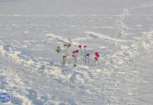 Цветы в память об Алексее Навальном в Екатеринбурге. Несмотря на давление силовиков, люди находят способ выразить свою скорбь