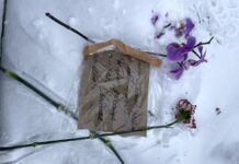 Маленькие акции больших людей