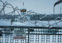 В колонии, где наступила смерть Алексея Навального, ранее уже убили заключенного. Руководство ИК-3 пыталось замести следы, заявляя о суициде