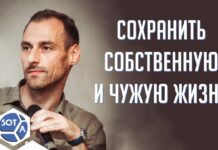 «Сохранить собственную и чужую жизнь»: интервью с основателем проекта «Идите лесом»