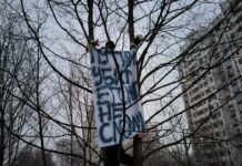 Молодой человек залез на дерево и развернул полотно с надписью «Путин убил его, но не сломал»