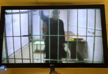 Апелляцию по делу осужденной Ольги Смирновой закрыли от прессы под предлогом того, что исследуемые доказательства содержат «угрозу государству»