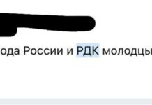 В Воронеже задержали активиста из-за комментариев о легионе «Свобода России» и формировании «Русский добровольческий корпус»