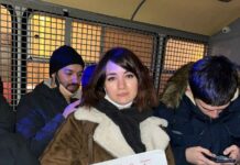 В суде по делу москвички Анастасии Агеевой допросили свидетеля обвинения, который «случайно забрел и возмутился» ее постами