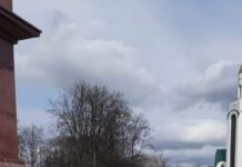 В Калининграде члена УИК с решающим правом голоса забрали «эшники»