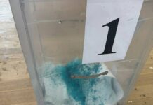 Инциденты с зеленкой и задержания на избирательных участках на второй день выборов