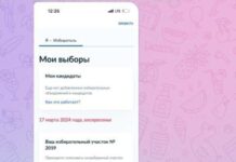 В Московской области полицейские нарушают тайну голосования, забирая бюллетени у избирателей