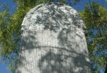 Жительницу Набережных Челнов задержали за хэштег #полденьпротивпутина и древнетюркские письмена