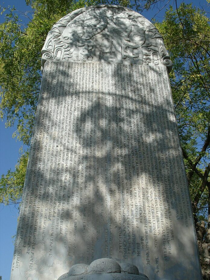 photo_2024-03-20 10.13.11