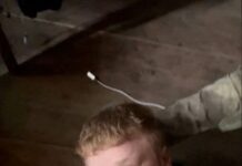 Суд прекратил производство дел о «фейках» и «оправдании терроризма» в отношении Владислава Мокроусова и отправил его на принудительное лечение