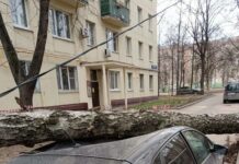 Из-за непогоды в Москве погибли два человека