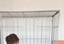 87-летнего священника Виктора Пивоварова оштрафовали на 150 тысяч рублей за «дискредитацию» армии