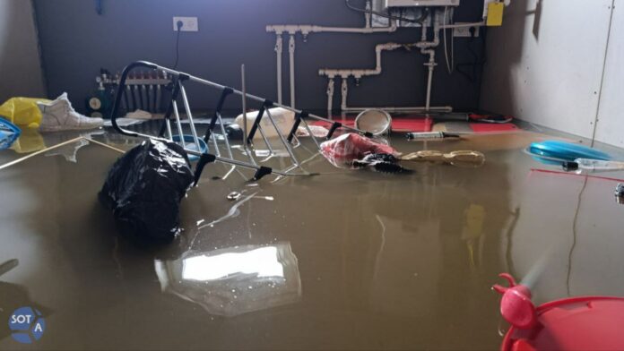 photo_2024-04-12 03.37.36