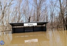 Весенний паводок 2024 года уже затронул 37 российских регионов, а еще 24 находятся под угрозой
