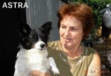 На 77-летнюю пенсионерку из Ставрополья завели уголовное дело об «оправдании терроризма» за комментарий с похвалой поступка Дарьи Треповой